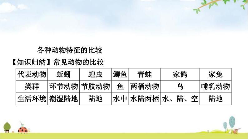 中考生物复习八年级上册第五单元生物圈中的其他生物第一章动物的主要类群课件第7页