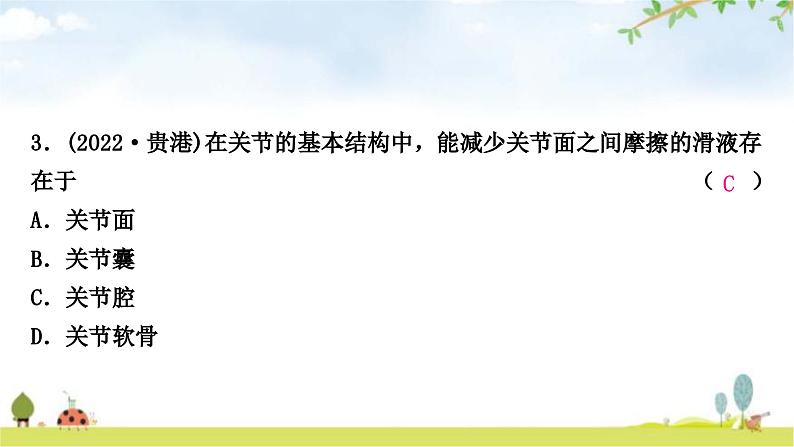 中考生物复习八年级上册第五单元生物圈中的其他生物第二章第三章课件04