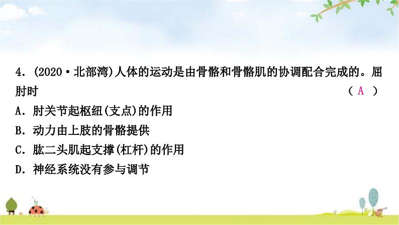 中考生物复习八年级上册第五单元生物圈中的其他生物第二章第三章课件05