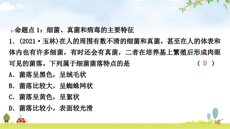 中考生物复习八年级上册第五单元生物圈中的其他生物第四章细菌和真菌第五章病毒课件02