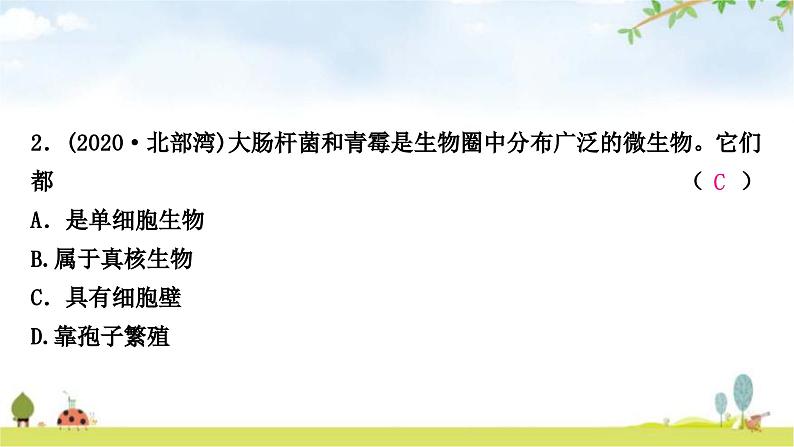 中考生物复习八年级上册第五单元生物圈中的其他生物第四章细菌和真菌第五章病毒课件03