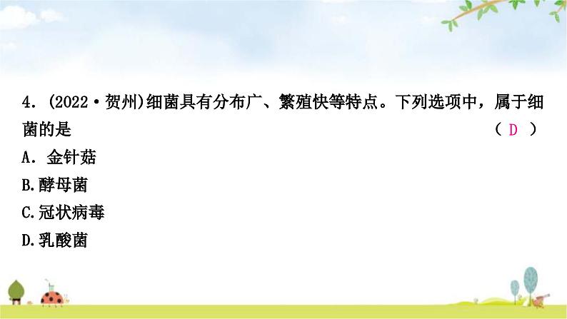 中考生物复习八年级上册第五单元生物圈中的其他生物第四章细菌和真菌第五章病毒课件05