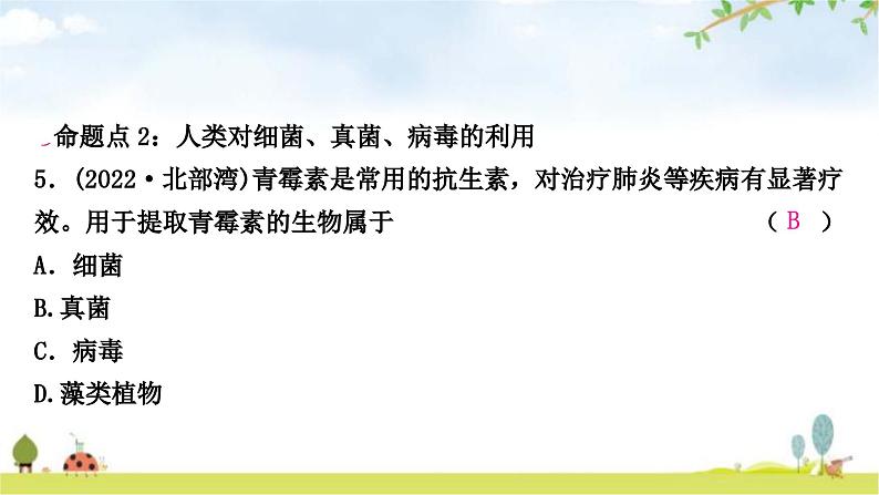 中考生物复习八年级上册第五单元生物圈中的其他生物第四章细菌和真菌第五章病毒课件06