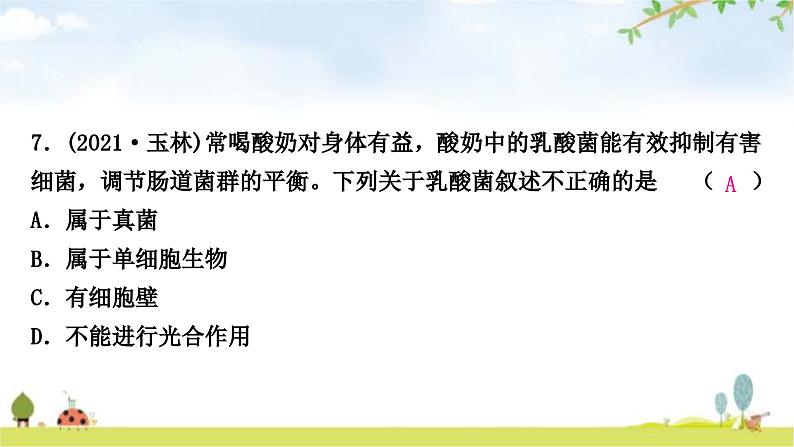 中考生物复习八年级上册第五单元生物圈中的其他生物第四章细菌和真菌第五章病毒课件08