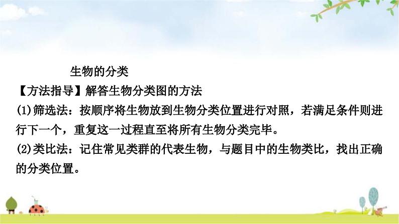 中考生物复习八年级上册第六单元生物的多样性及其保护课件第7页