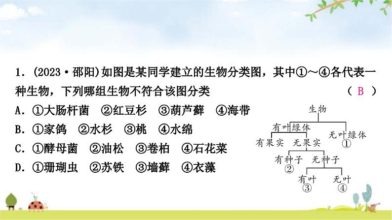 中考生物复习八年级上册第六单元生物的多样性及其保护课件第8页