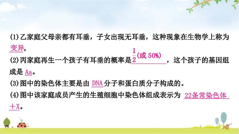 中考生物复习八年级下册第七单元第二章生物的遗传与变异课件08