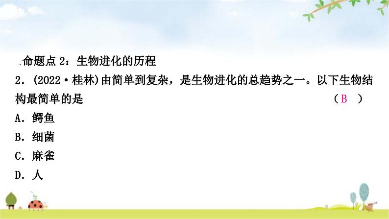 中考生物复习八年级下册第七单元第三章生命起源和生物进化课件03