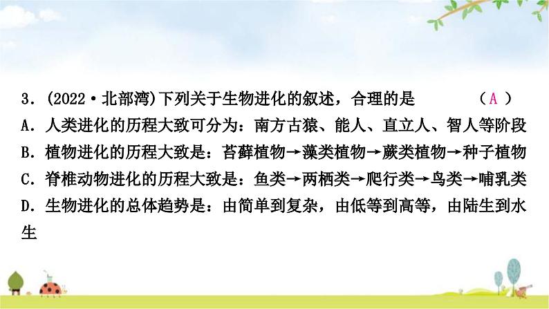 中考生物复习八年级下册第七单元第三章生命起源和生物进化课件04