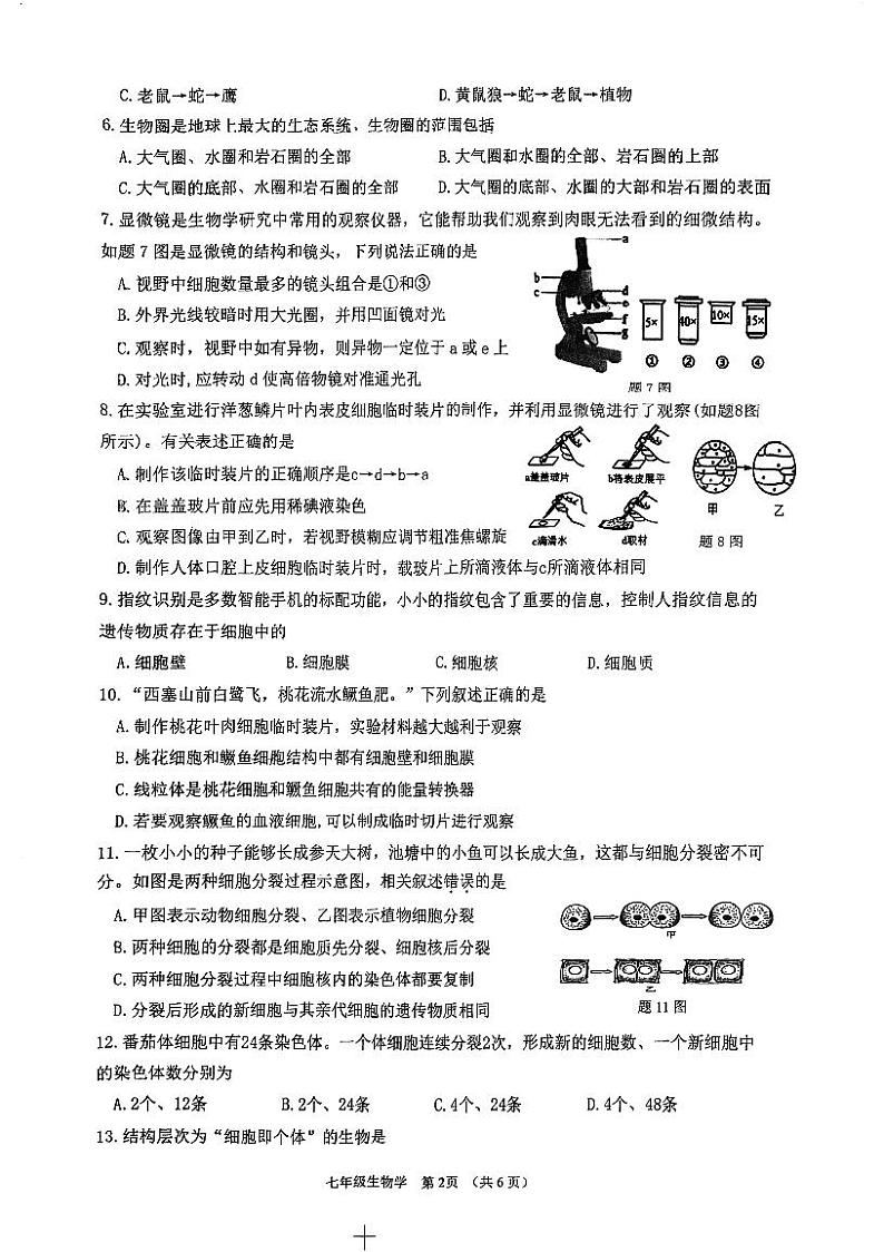广东省江门市蓬江区2023-2024学年七年级上学期期末调研考试生物学试题第2页