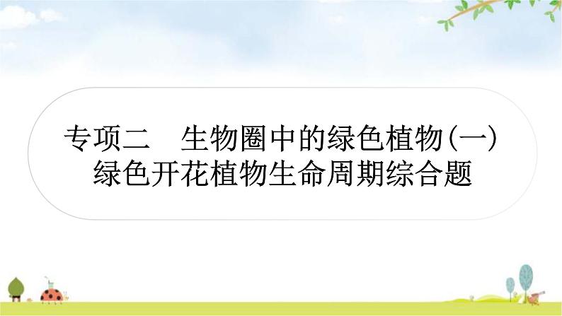 中考生物复习专项二生物圈中的绿色植物课件第1页