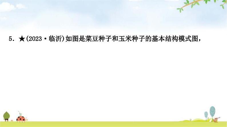 中考生物复习专项二生物圈中的绿色植物课件第7页