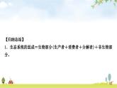 中考生物复习专项三生物与环境课件
