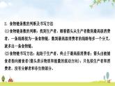 中考生物复习专项三生物与环境课件