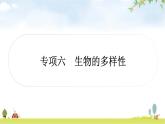 中考生物复习专项六生物的多样性课件