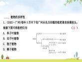 中考生物复习专项六生物的多样性课件