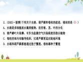 中考生物复习专项六生物的多样性课件