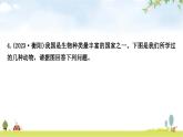 中考生物复习专项六生物的多样性课件