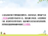 中考生物复习专项八生物技术课件