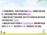 中考生物复习专项八生物技术课件
