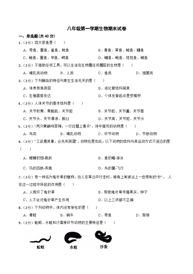 甘肃省武威市凉州区黄羊镇教研连片考试2023-2024学年八年级上学期期末生物试题01