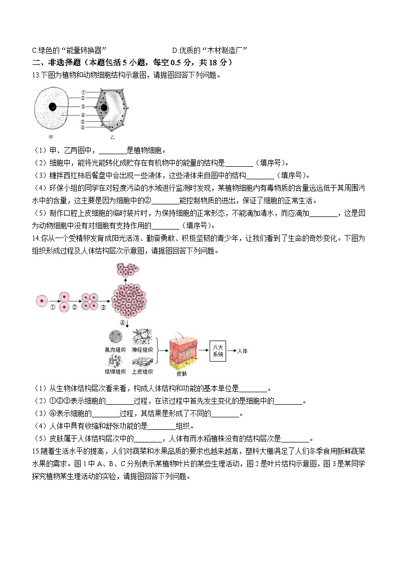 辽宁省抚顺市新抚区2023-2024学年七年级上学期期末教学质量检测生物试题第3页
