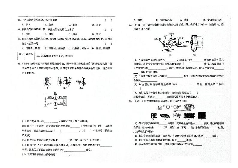 吉林省白城市通榆县2023-2024学年上学期七年级生物期末试题（图片版，含答案）第2页
