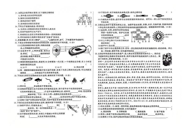 吉林省白城市通榆县2023-2024学年上学期八年级生物期末试题（图片版，含答案）第2页