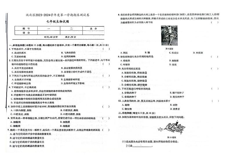 吉林省白城市洮北区2023-2024学年上学期七年级生物期末试题（图片版，含答案）第1页