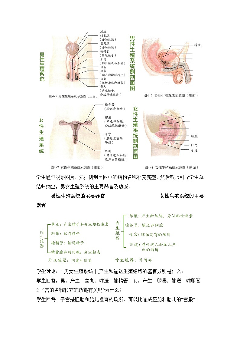人教版生物七年级下册4.1.2《人的生殖》教案+教案03
