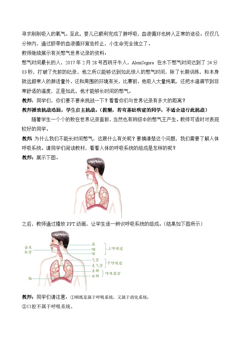 人教版生物七年级下册4.3.1《呼吸道对空气的处理》课件+教案02