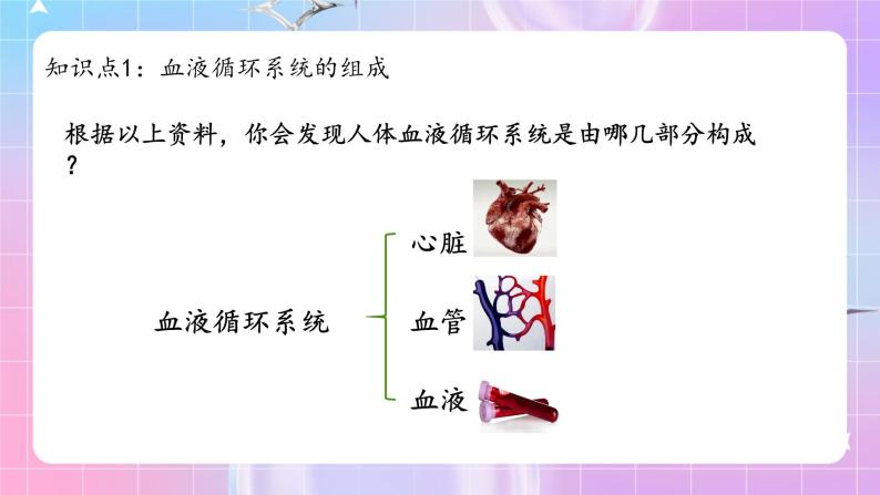 人教版生物七年级下册4.4.1《流动的组织——血液》课件+教案04