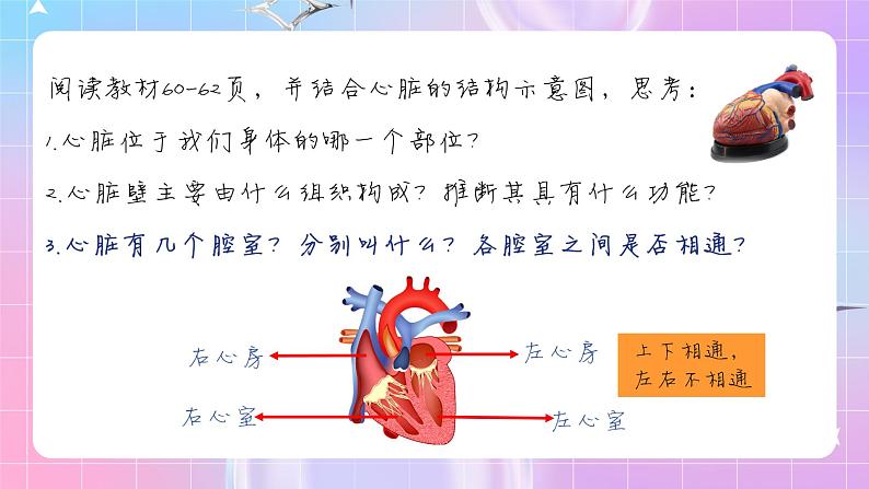 人教版生物七年级下册4.4.3《 输送血液的泵——心脏》课件+教案08