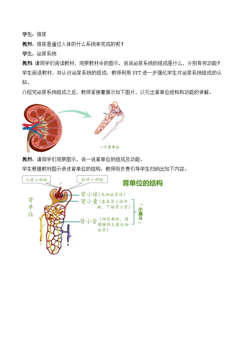 人教版生物七年级下册4.5 《人体内废物的排出》课件+教案03