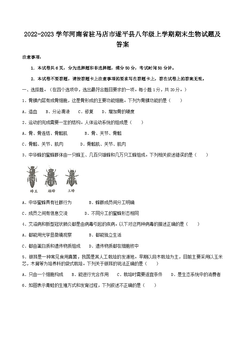 2022-2023学年河南省驻马店市遂平县八年级上学期期末生物试题及答案01
