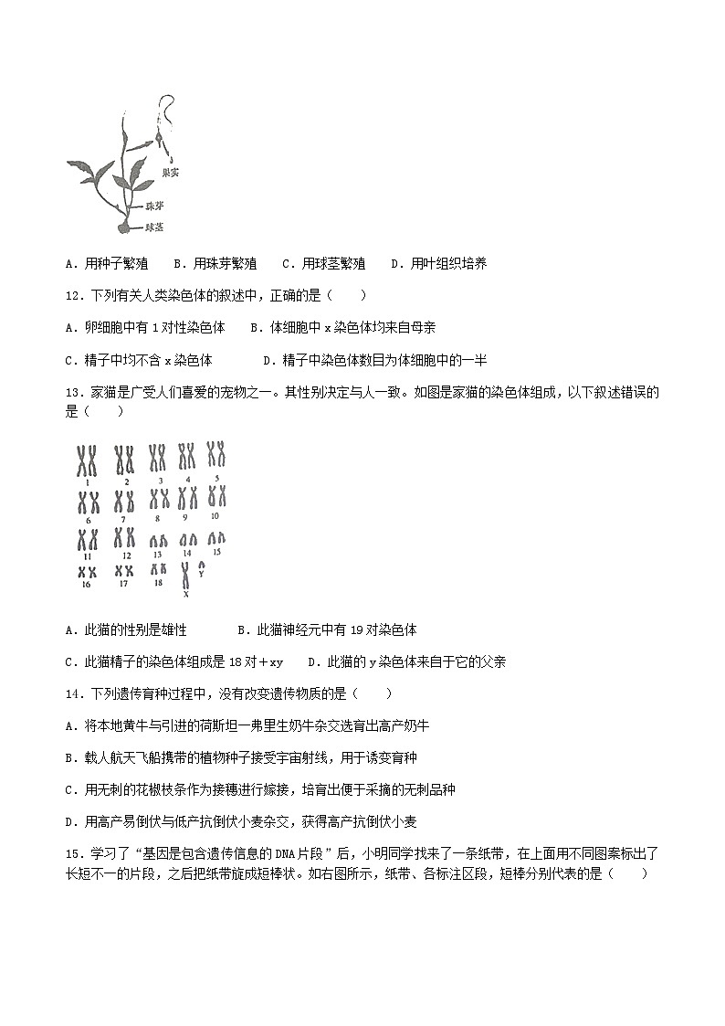 2022-2023学年河南省驻马店市遂平县八年级上学期期末生物试题及答案03
