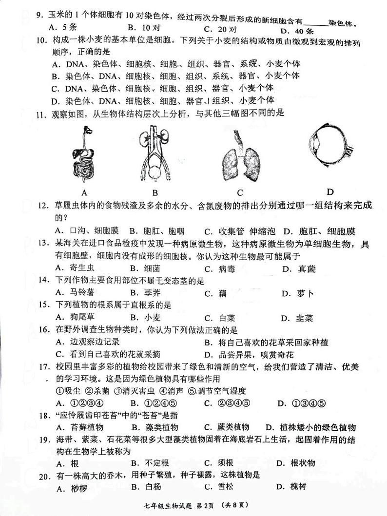 河北省保定市第十七中学教育集团2023-2024学年七年级上学期期末生物试题02