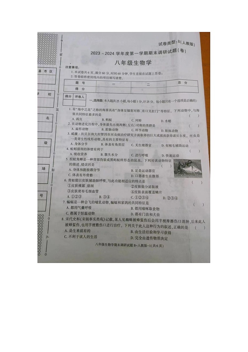 陕西省安康市汉滨区洪山镇2023-2024学年八年级上学期生物期末试题第1页