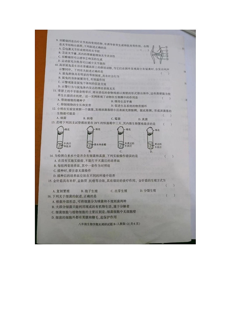 陕西省安康市汉滨区洪山镇2023-2024学年八年级上学期生物期末试题第2页
