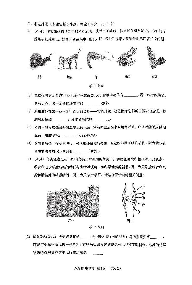 辽宁省大连市沙河口区2023-2024学年八年级上学期期末生物学试题03