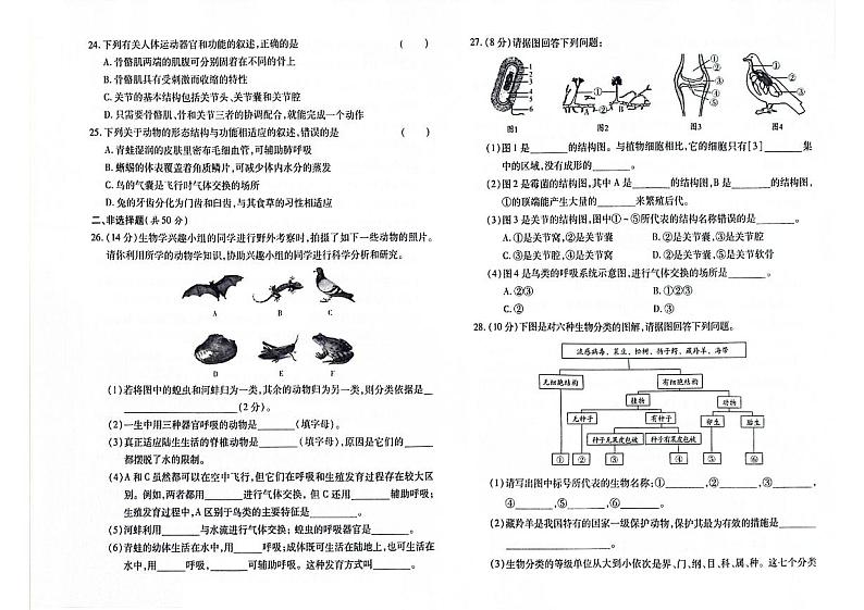 吉林省四平市梨树县2023-2024学年上学期八年级生物期末试卷（图片版，含答案）第3页