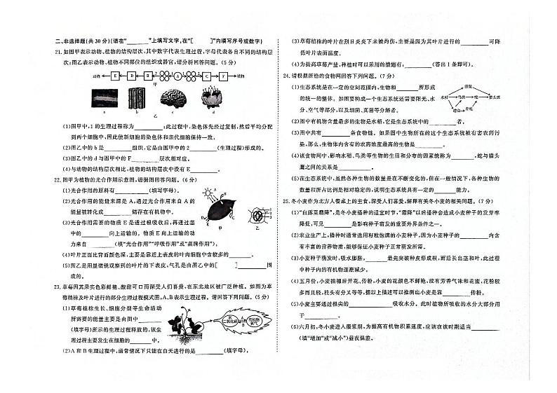 吉林省四平市双辽市2023-2024学年上学期七年级生物期末试卷（图片版，含答案）第2页