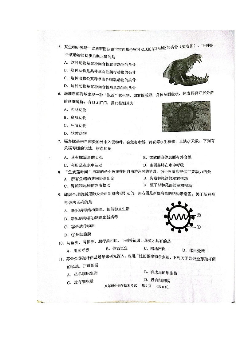 广东省广州市天河区2023-2024学年八年级上学期期末生物试题02