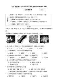 北京市西城区2023-2024学年七年级上学期期末生物学试题