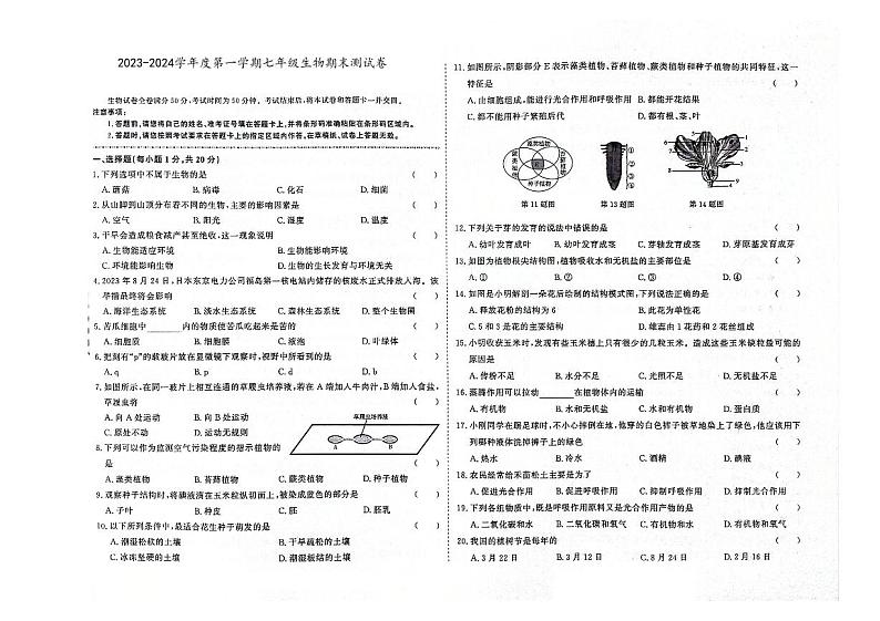 吉林省辽源市龙山区2023-2024学年上学期七年级生物期末试卷（图片版，含答案）.第1页