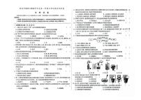 吉林省桦甸市2023-2024学年上学期七年级生物期末试卷（图片版，含答案）