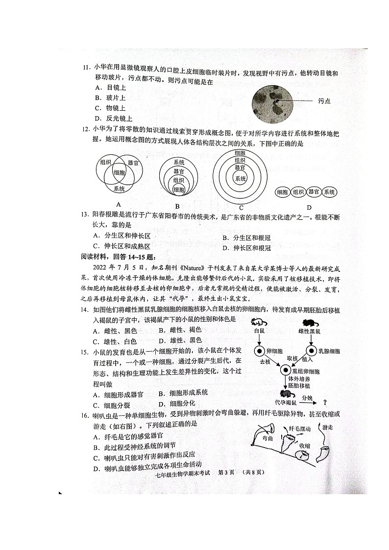 广东省广州市天河区2023-2024学年七年级上学期期末生物学试题03