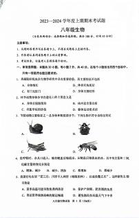 重庆市渝中区2023-2024学年八年级上学期期末考试生物试题