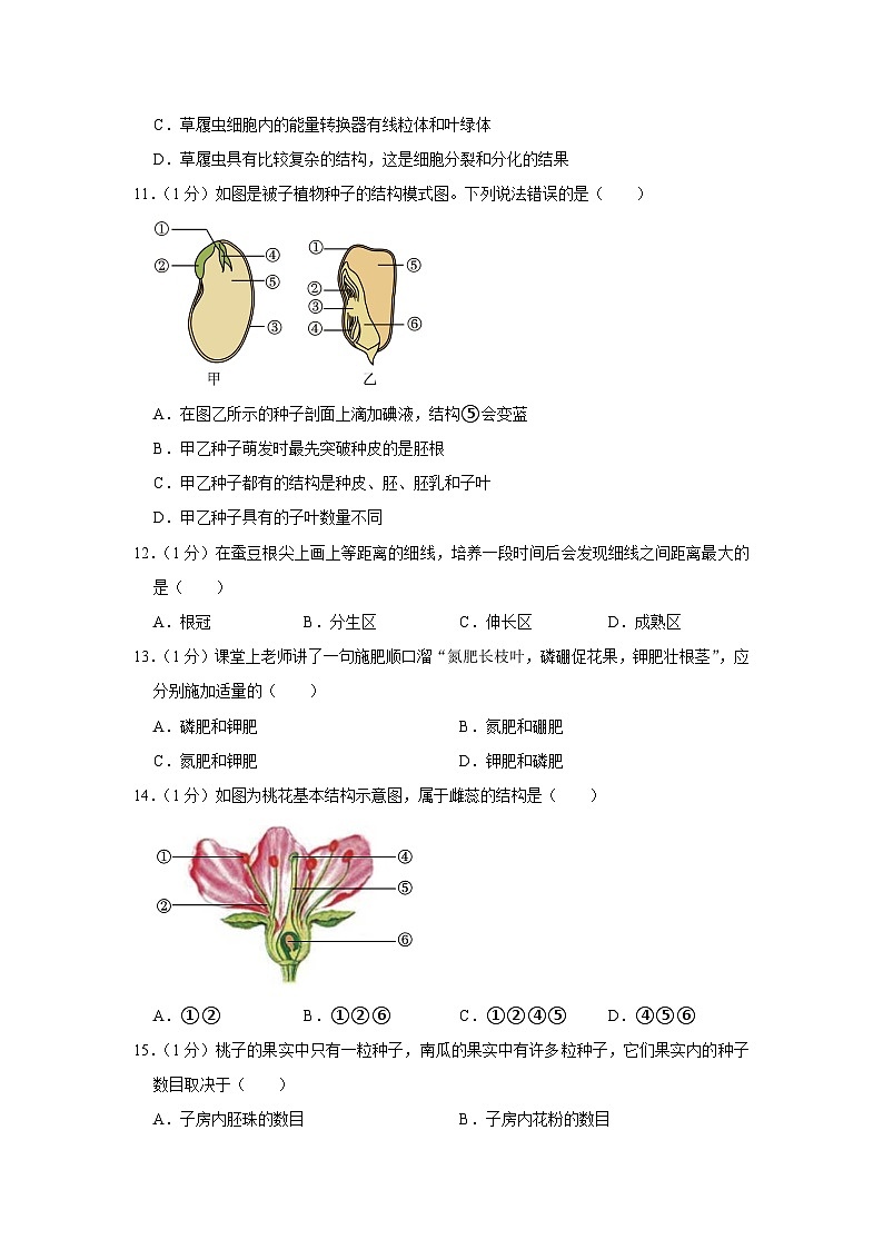 吉林省松原市乾安县2023-2024学年七年级上学期期末生物试卷第3页
