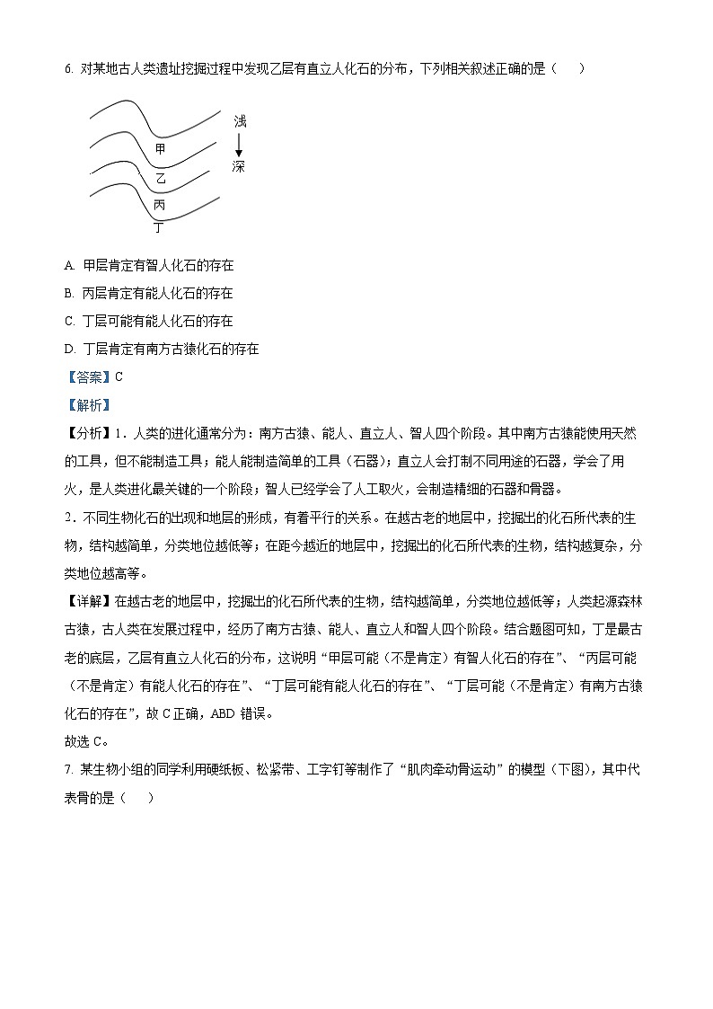 辽宁省海城市南台镇第一初级中学2023-2024学年八年级上学期期末模拟生物试题（一）第3页